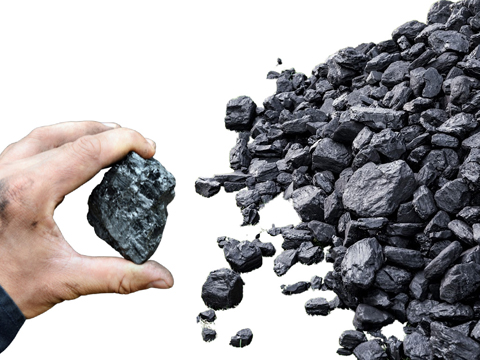 Coal and coke standards from Elemental Microanalysis